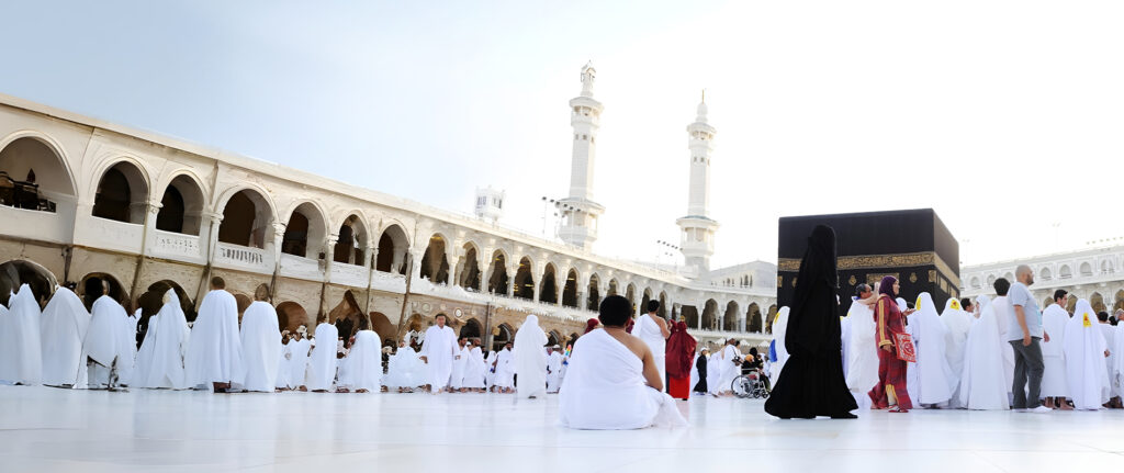 international and domestic tour packages